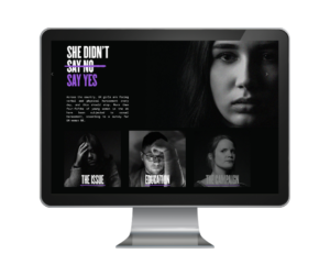 Safer Streets Website